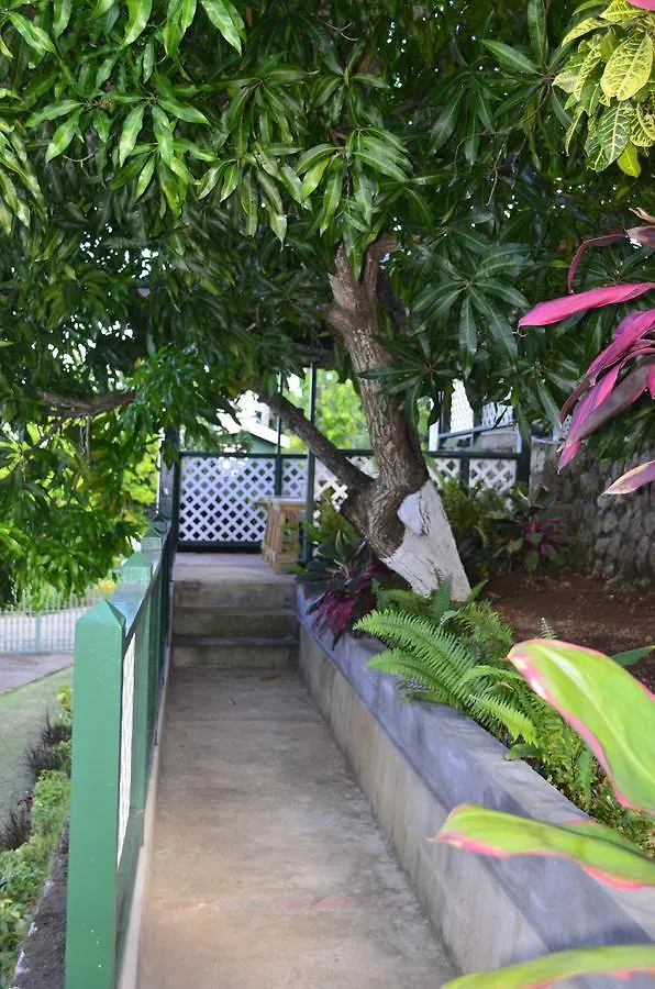Pink Rock Inn Bed And Breakfast Ocho Rios